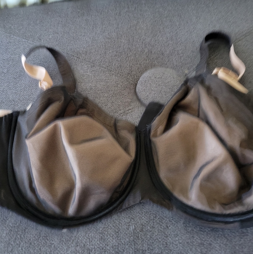 Modern movements bra